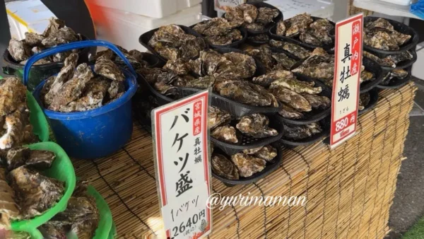 宮城県産真牡蠣のバケツ盛りが並ぶ売り場の様子