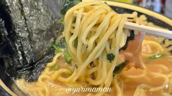 鯉から竜の麺を持ち上げた様子 - ゆりママんブログ 鯉から竜の麺を持ち上げた様子