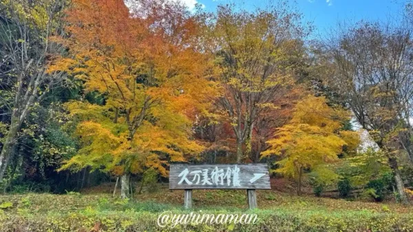 久万美術館入口周辺の紅葉。黄色やオレンジの葉が色づき始めた初秋の風景。