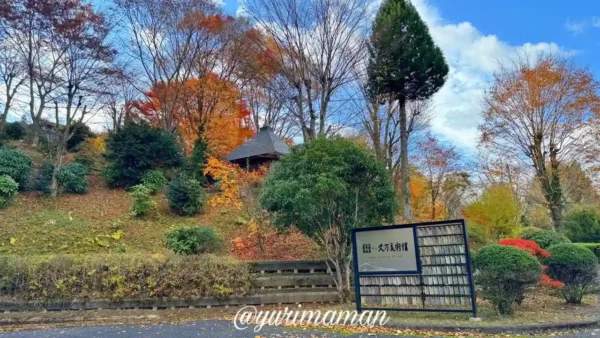 久万美術館前の紅葉。淡い黄色とオレンジが混ざる色づき始めの木々が並ぶ。