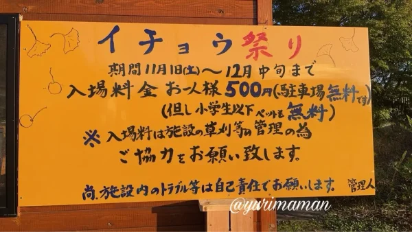 久万高原町・高野展望台「イチョウ祭り」の入場案内看板（2025年）入場料500円・駐車場無料のお知らせ