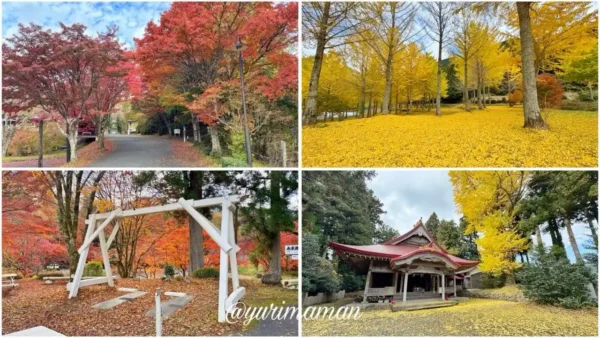 久万高原町の紅葉の様子をまとめた写真（2025年11月18日撮影）