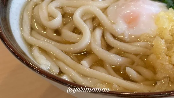 手打ちうどんを実食している様子3