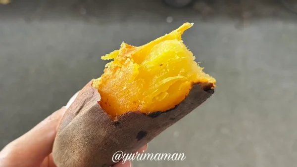 焼きたて石焼き芋の黄金色の断面が見えるアップ写真2 - ゆりママんブログ 焼きたて石焼き芋の黄金色の断面が見えるアップ写真2