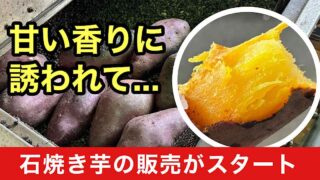 今治市まるひろで石焼き芋の販売がスタート｜サムネイル画像