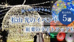 松山市の夜を彩る光イベントまとめ｜二之丸光の庭園のライトアップと紅葉の景色｜サムネイル画像