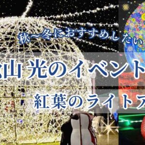 松山市の夜を彩る光イベントまとめ｜二之丸光の庭園のライトアップと紅葉の景色｜サムネイル画像