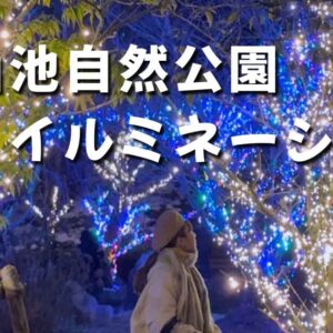 中山池自然公園イルミネーション2025-2026｜サムネイル画像