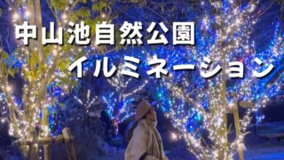 中山池自然公園イルミネーション2025-2026｜サムネイル画像
