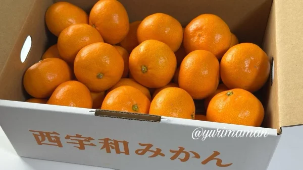 にしうわもっとセレクション2025の特別金賞 西宇和みかんの箱 - ゆりママんブログ にしうわもっとセレクション2025の特別金賞 西宇和みかんの箱