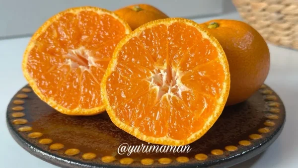 西宇和みかんを半分に切った果汁たっぷりの断面 - ゆりママんブログ 西宇和みかんを半分に切った果汁たっぷりの断面