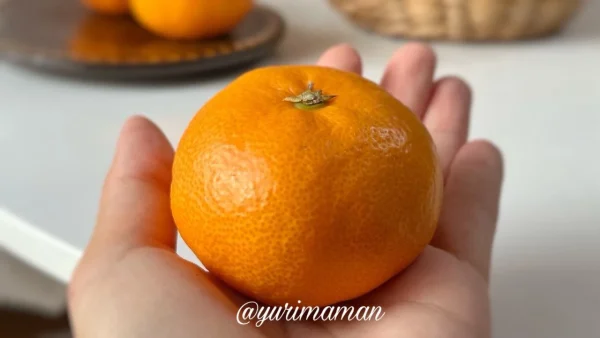 手のひらサイズの西宇和みかん - ゆりママんブログ 手のひらサイズの西宇和みかん