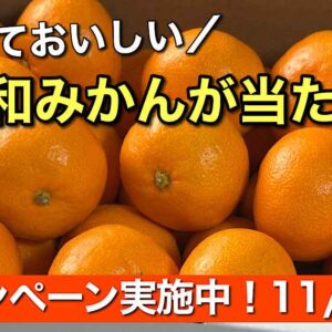 にしうわもっとセレクション2025のキャンペーン告知｜サムネイル画像
