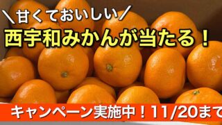 にしうわもっとセレクション2025のキャンペーン告知｜サムネイル画像