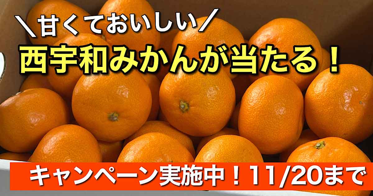 にしうわもっとセレクション2025のキャンペーン告知｜サムネイル画像