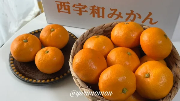 にしうわもっとセレクション2025の特別金賞 西宇和みかん - ゆりママんブログ にしうわもっとセレクション2025の特別金賞 西宇和みかん