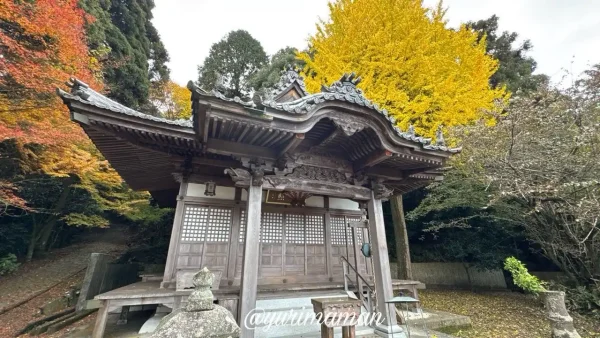 石段沿いに色づくもみじと落ち葉が美しい王至森寺の境内4 - ゆりママんブログ 石段沿いに色づくもみじと落ち葉が美しい王至森寺の境内4