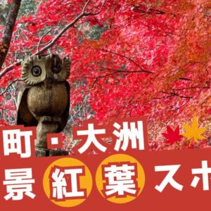 愛媛県の大洲・内子を1日で巡る紅葉ドライブコース｜サムネイル画像