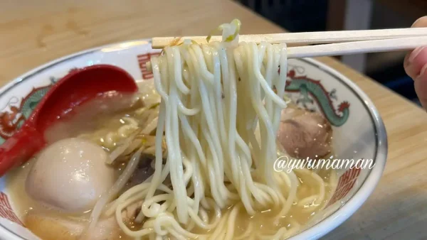 とんにぼラーメンの太めの麺を箸で持ち上げたシーンの写真 - ゆりママんブログ とんにぼラーメンの太めの麺を箸で持ち上げたシーンの写真