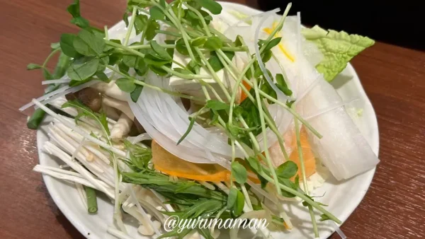 しゃぶ菜エミフルの食べ放題で取った野菜の盛り付け - ゆりママんブログ しゃぶ菜エミフルの食べ放題で取った野菜の盛り付け