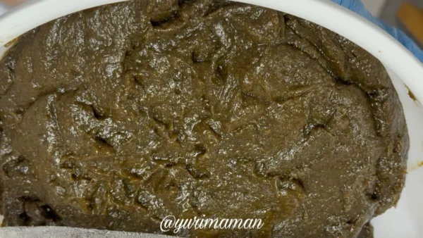 とんぼやのもずく麺に練り込んでいる「もずく」