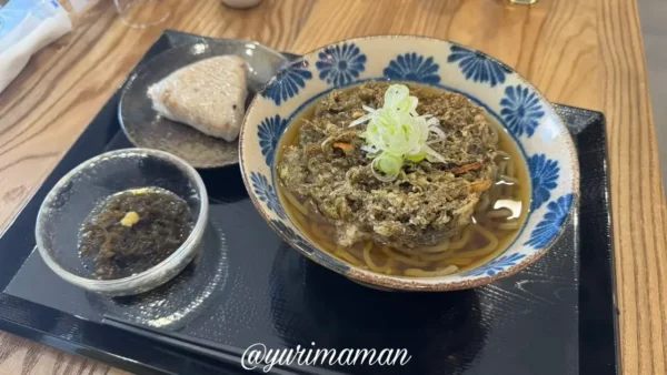 とんぼやのもずく天そばセット（ジューシーと生もずく付き）2