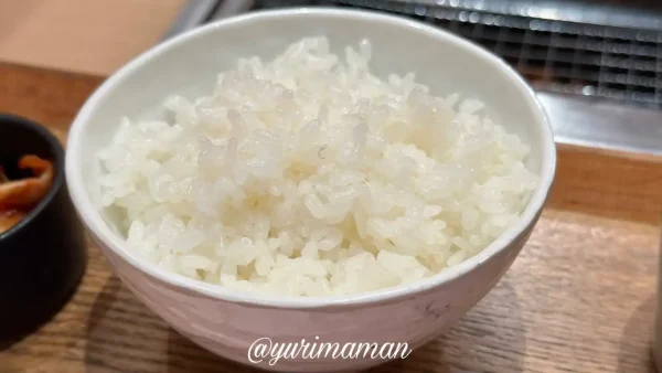 焼肉食堂炎蔵 松山市駅前店のランチはごはんおかわり自由