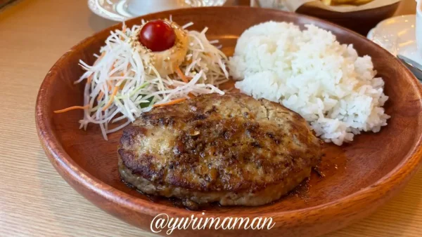 びっくりドンキー満喫セットのバーグディッシュ