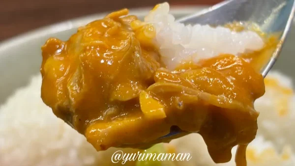 野菜ピューレを使ったBUENO（ブエノ）のチキンカレー2