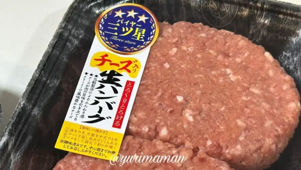 チーズ入り生ハンバーグ（フジ）