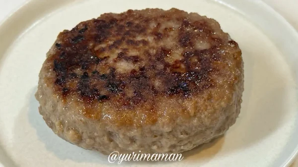 焼いた生ハンバーグふっくらジューシー（フジ）