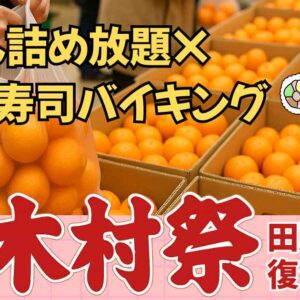 木村チェーン田所店で開催される「木村祭2025」サムネイル画像