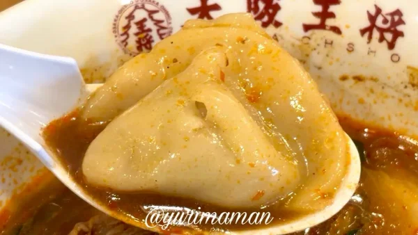 大阪王将の麻辣湯（マーラータン）にトッピングした水餃子1