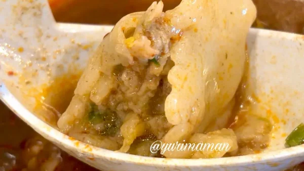 大阪王将の麻辣湯（マーラータン）にトッピングした水餃子2