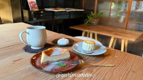 ruru cafe＋ANTAのチーズケーキとコーヒーとリッチスコーン