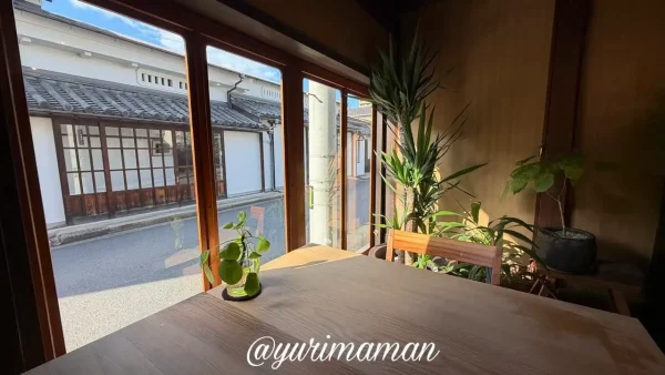 ruru cafe＋ANTAの店内窓際席。午後の光が差し込む木のテーブルと、三津浜の町並みを望む落ち着いた空間。