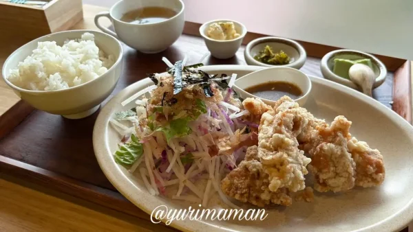 トワニーごはん&カリッジュのDランチ からあげとサラダ付きランチセット2