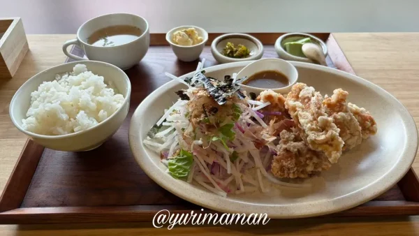 トワニーごはん&カリッジュのDランチ からあげとサラダ付きランチセット1