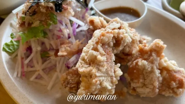 トワニーごはん&カリッジュのからあげ カリッとジューシーな唐揚げ1