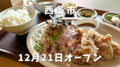 トワニーごはん&カリッジュ（西条市）サムネイル画像