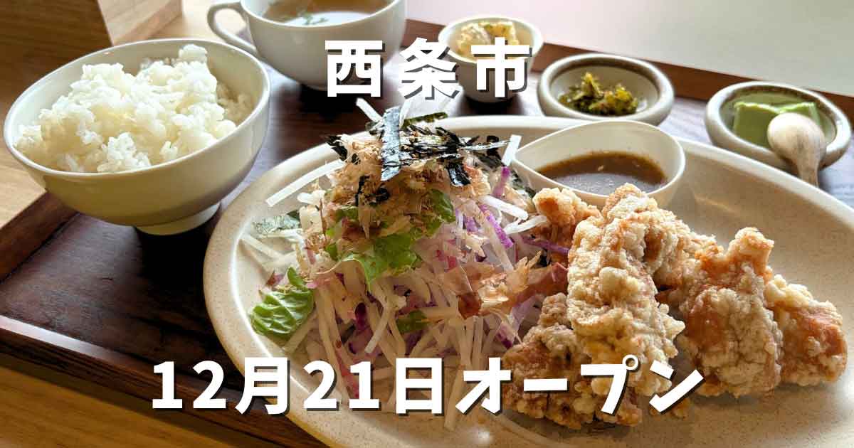 トワニーごはん&カリッジュ（西条市）サムネイル画像