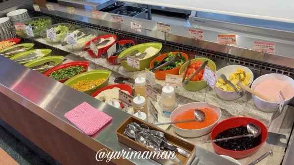 ビッグボーイのサラダバー（野菜やトッピングが充実）