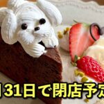 かふぇあん（西条カフェ）2026年1月31日閉店予定｜サムネイル画像