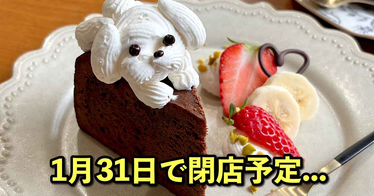 かふぇあん（西条カフェ）2026年1月31日閉店予定｜サムネイル画像