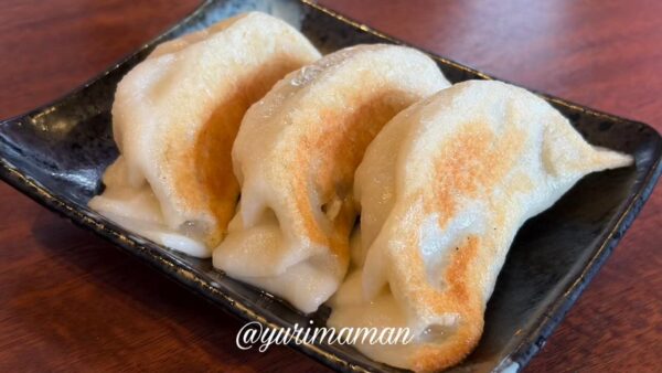 もちもち厚皮で肉汁たっぷりの大きな餃子｜美食坊ハルピン