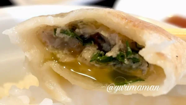 もちもち厚皮で肉汁たっぷりの大きな餃子｜美食坊ハルピン2