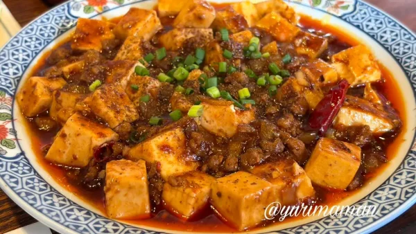 麻婆豆腐（普通）でもピリ辛で旨い｜松山駅前ハルピンの人気中華ランチ1
