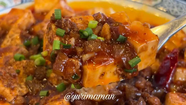 麻婆豆腐（普通）でもピリ辛で旨い｜松山駅前ハルピンの人気中華ランチ2