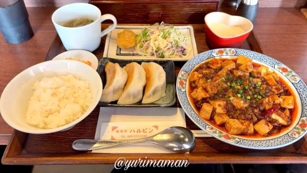美食坊ハルピンの麻婆豆腐＋焼き餃子セット（1,280円）を実食