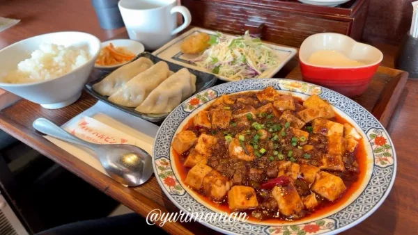 美食坊ハルピンでランチ実食レビュー｜麻婆豆腐と餃子が人気の町中華